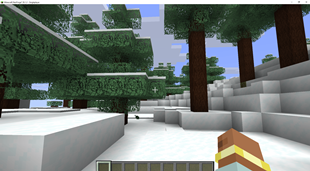 Spruce forest