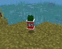 imagen2.jpeg