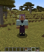 imagen3.jpeg