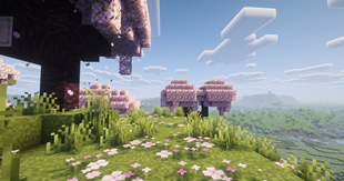 Horizons Alive