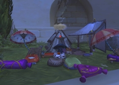 Mushroom Dude Chilling