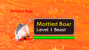 cwt4.png