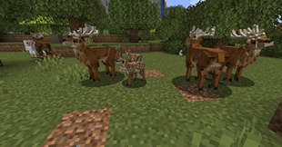 new-deer-v2.png