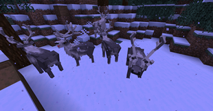 new-reindeer.png