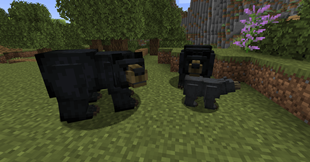 new-black-bear.png
