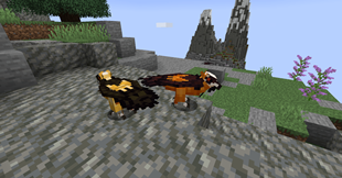 new-lammers-2.png