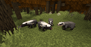 new-badgers.png