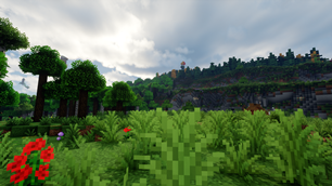Cartographer's Dream