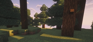 Screenshot 2026-07-23 214737.jpeg