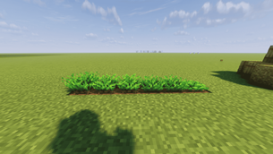 Carrot pack