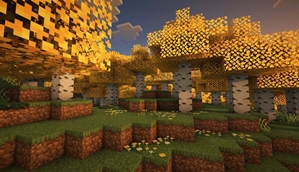 Golden Yellow Birch Leaves