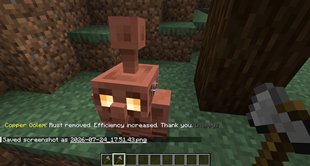 Reaction after de-rusting the copper golem