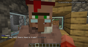 Talk with Villagers