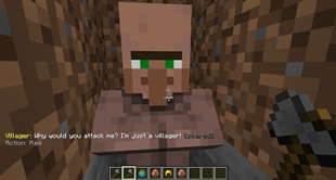 Hit Villager