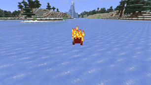 Flame Salamander