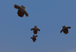 Penny Flying