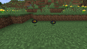 Music disc