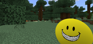 Verity Image 2.png