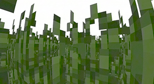 grass