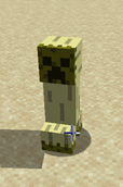 Desert creeper
