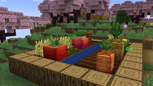 TOMATOES