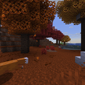 panorama_2.png