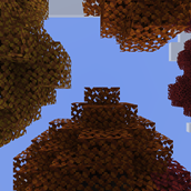 panorama_4.png