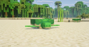 10.jpg