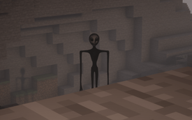 watcher