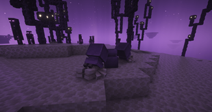 2026-07-25_12.40.47.png