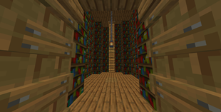 the library in the tower