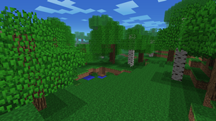 oak forest1