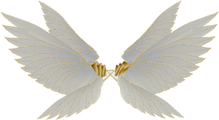 wings.png