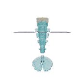 {530E2056-7C30-4657-9BD8-BB78B7AACCD0}.png