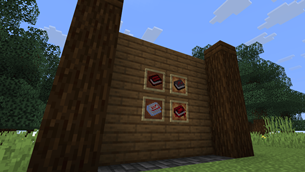 Books on itemframes.png