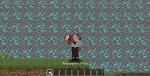 Throwable brick