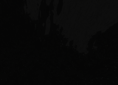 Trimmed_Confliction.png