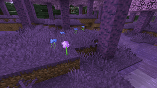 Screenshot 2026-07-26 164804.png