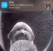 Your door: