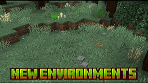 New environments