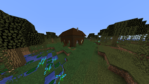 Swamp House 02