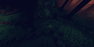 foto 7 ps.png