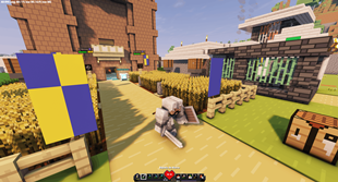 Crouch view
