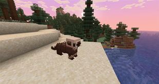 Sea Otter spawn location!