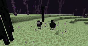 Ender Chicken