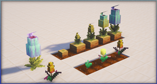 Pitched Plant & Torchflower