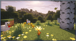 Wildflowers & Golden Dandelion