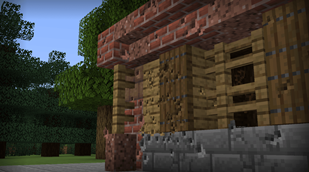 Random Scenery to prove some point