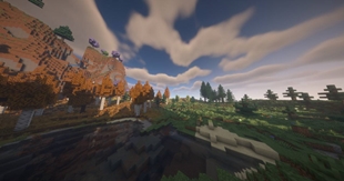 Explore & Discover.jpg