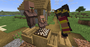 Villager follower